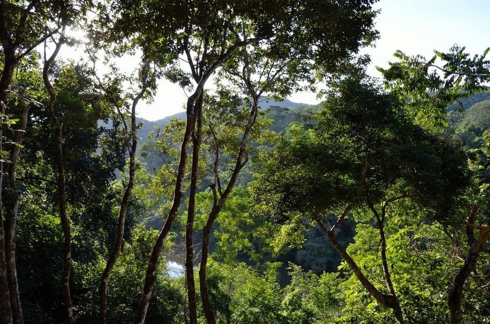 Table Rock Lodge Cristo Rey Buitenkant foto